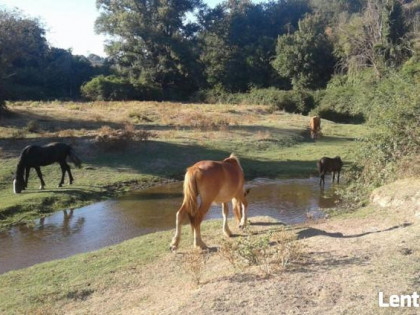 We Włoszech, w pobliżu Rzymu i jeziora Bracciano znajduje si