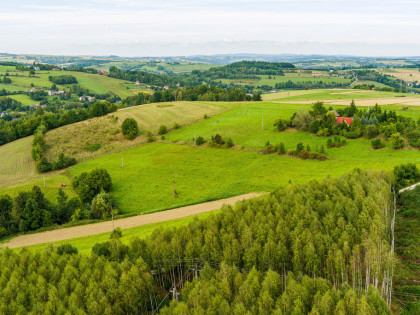 25 arów za 100 tyś. działka w Krużlowej Wyżnej!!
