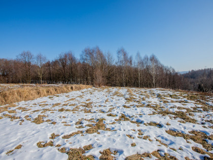 Działka budowlana Koszyce Małe - gm. Tarnów!