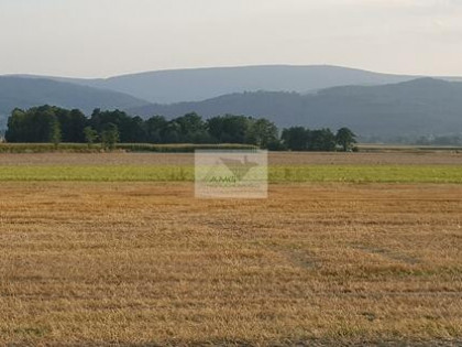 Działka rolno-budowlana Bratoszów gm. Pieszyce, Bratoszów