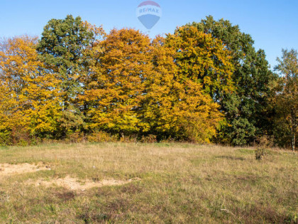 Działka budowlana na wzniesieniu w Kościerzynie