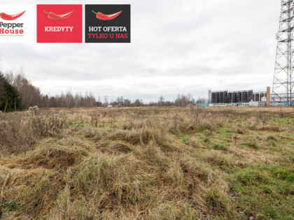 Działka Przemysław ul. Żuławska