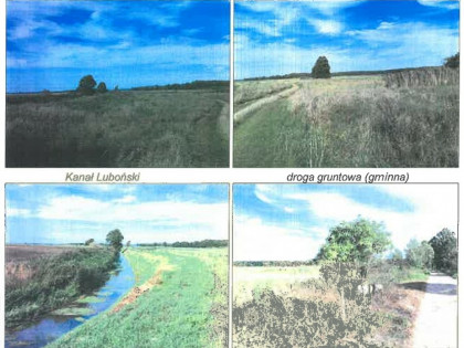 Nieruchomość - Grzmiąca