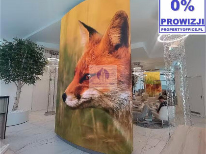 Lokal Warszawa Śródmieście ul. Solec