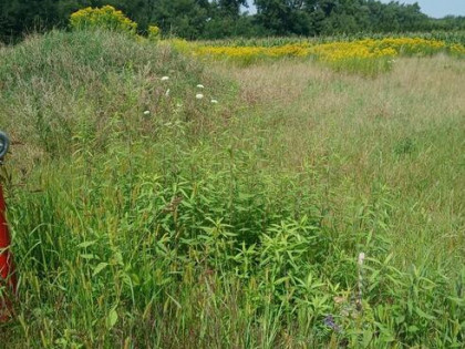Działka pod budowę domu jednorodzinnego/domu w zabudowie bli