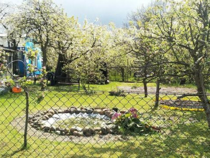 Oferuję - Działka ROD Malwa, Gdynia