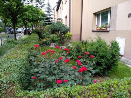 3-niezależne pokoje, doskonała lokalizacja, balkon !