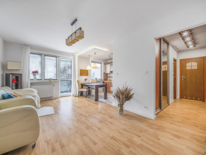 ✅Sprawdź >>> Ładne, ustawne 2 pokoje ✅