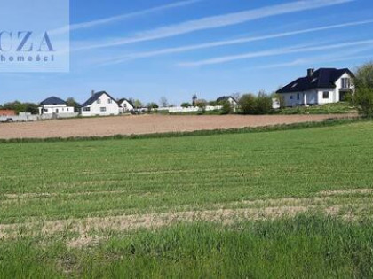 Działka inwestycyjna Kazimierów gm. Halinów