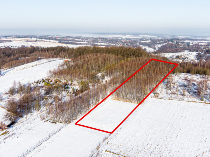 Działka leśna Grabno - gm. Wojnicz!