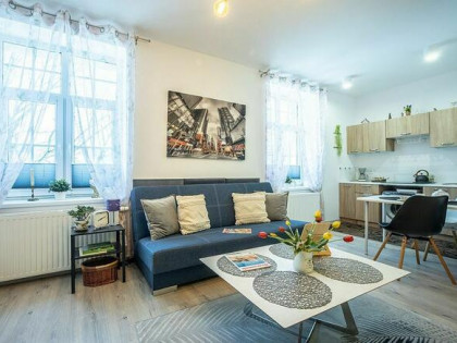 Na sprzedaż klimatyczne mieszkanie 24 m2 Bałuty