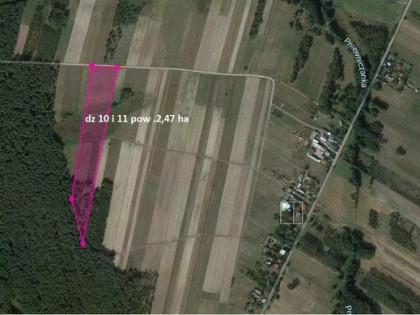Działka rolna  gm. Dobre