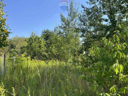 Działka (jeszcze) rolna przy rezerwacie