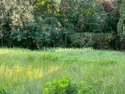 Działka budowlana Warszawa Wawer, Anin Sadul