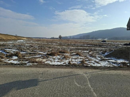 Niegoszowice gm. Zabierzów - działka 53-arowa