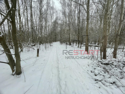 Działka rolna Kamionka gm. Radziejowice,