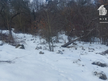 Siary działka budowlano-leśna 21a 1168S/2026