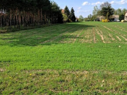 SPRZEDAM DZIAŁKĘ BUDOWLANĄ