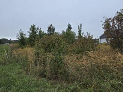 Działka Góra Siewierska