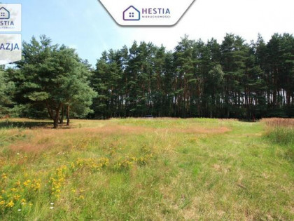 Duża działka przy lesie w Wielgowie