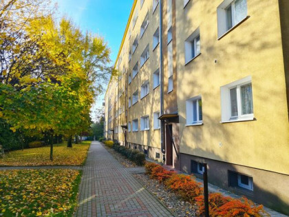 Mieszkanie Poznań gm. Poznań-Grunwald Grunwald, Pawła Włodkowica