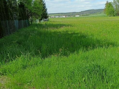 Sprzedam działkę 1307 m budowlana Pasturka koło Pińczowa