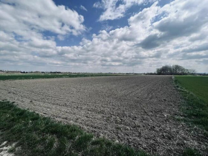 56ara =332.000zł. ZIELONKI-Trojanowice, k.Krakowa