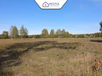 Działka w Grzepnicy 1500 m2 - 17km od Szczecina