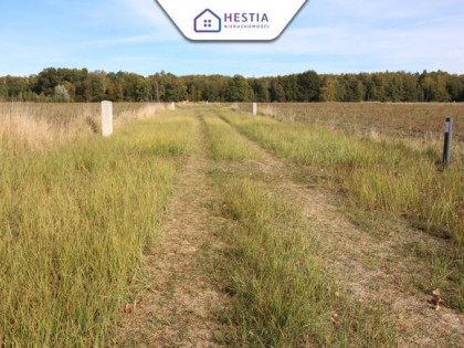 Działka w Grzepnicy 1462 m2 - 17km od Szczecina