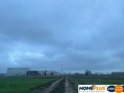 Inwestycyjna działka o pow 3,74 ha blisko trasy S8