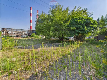 Działka inwestycyjna z budynkiem 1742 m²