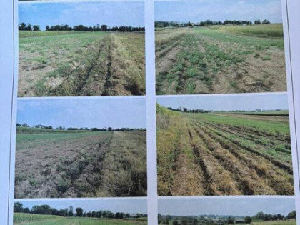 Udział 1/7 części w prawie własności nieruchomości