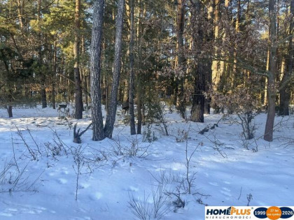 1000 m² zielonej działki na lekkim wzniesieniu