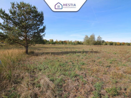 Działka w Grzepnicy 1586 m2 - 17km od Szczecina