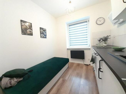 Świdra 15, mini kawalerka przyjazna dla zwierząt