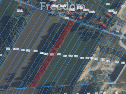 Duża, zadrzewiona działka w Górach, gm. Jakubów