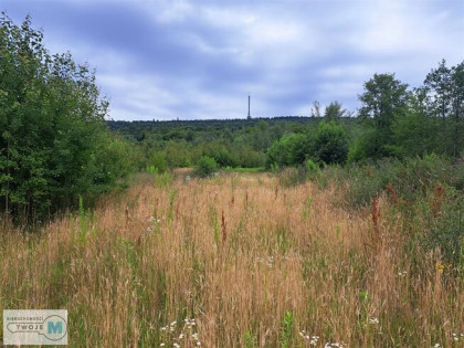 Działka siedliskowa NOWA SŁUPIA gm. Nowa Słupia HUCISKO