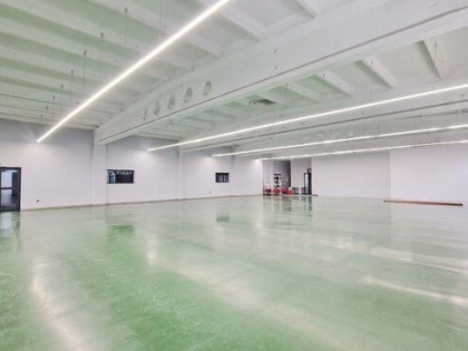 Lokal użytkowy Pabianice