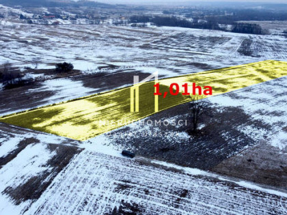 Działka Pagórek gm. Dębowiec