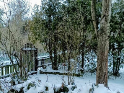 Działka ROD, Białystok - unikalna, prawie jak leśniczówka