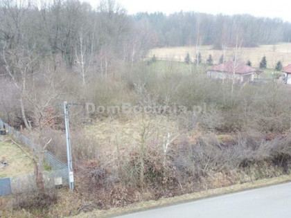 Działka rolno-budowlana Borek gm. Rzezawa