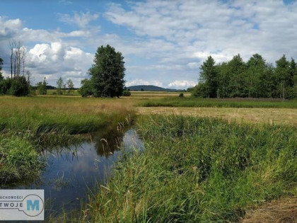 Działka leśna Strawczyn Korczyn