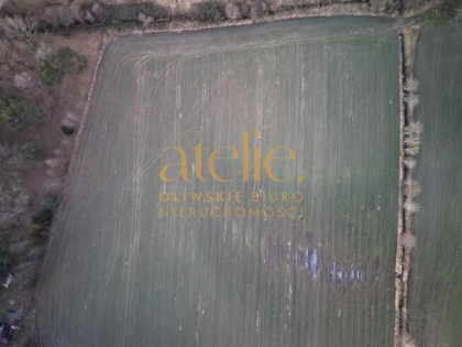 Bojano 1500 m² – ziemia, która robi wrażenie!