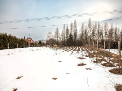 Działka na sprzedaż, Joniny | gm. Ryglice 109 TYŚ!