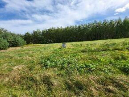 Udział w wysokości 1/3 w nieruchomości (Sieraków)