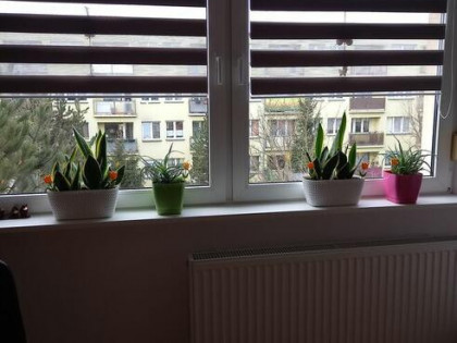 Sprzedam mieszkanie 2-pokojowe ( 42m2) kupie kawalerkę w Zg