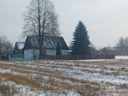 Siedlisko 5,3 ha w doskonałej cenie