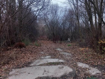 syndyk sprzeda udział w działce