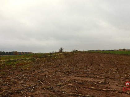 Działka rolna Żegary gm. Sejny,