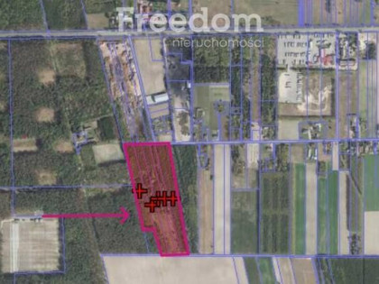 Działka leśna 7,1437 ha